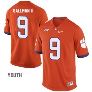 Youth Wayne Gallman II Clemson Tigers Jersey Orange #9 