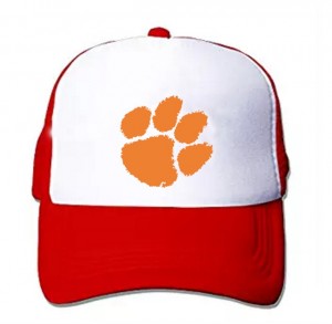 Red Clemson Tigers Snapback Adjustable Hat