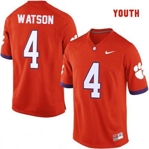 deshaun watson youth jersey